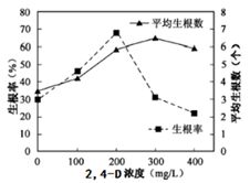 生物學研究中的實驗基礎與驗證