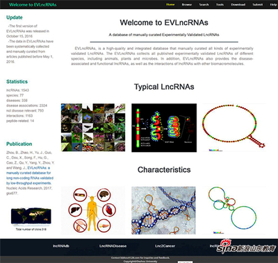 德州學院在長非編碼RNA數據庫研究領域取得重要成果