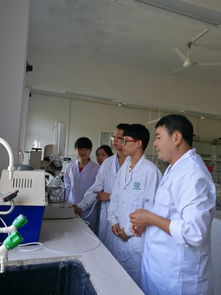 以賽促學(xué)強(qiáng)技能，實(shí)驗(yàn)求真育匠心——環(huán)境與食品工程學(xué)院學(xué)子積極備戰(zhàn)廣西高校大學(xué)生化學(xué)實(shí)驗(yàn)技能競(jìng)賽