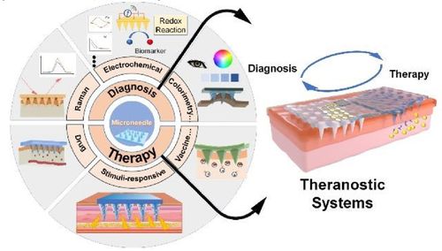 基于微針的生物醫(yī)學(xué)系統(tǒng) 設(shè)計(jì)、制造與應(yīng)用研究進(jìn)展