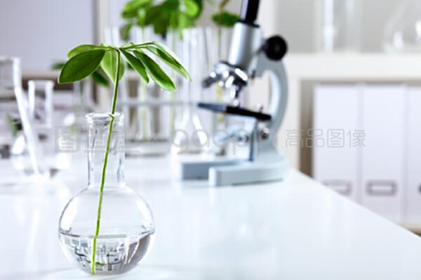 生物學(xué)實(shí)驗(yàn)室中的綠色植物 自然科學(xué)研究的綠色引擎